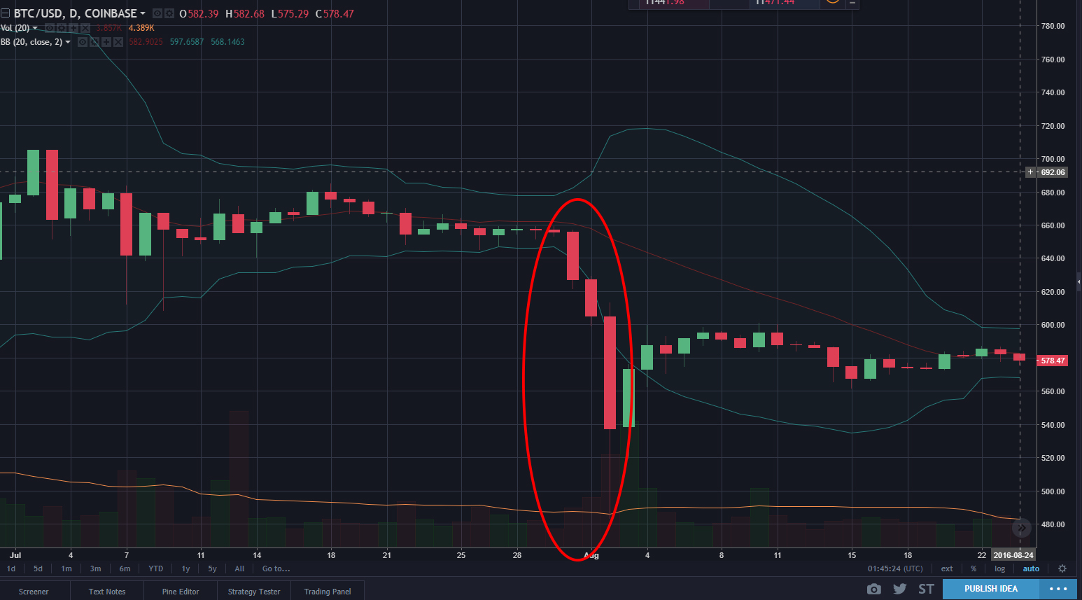 bitcoin experiencing bearish market