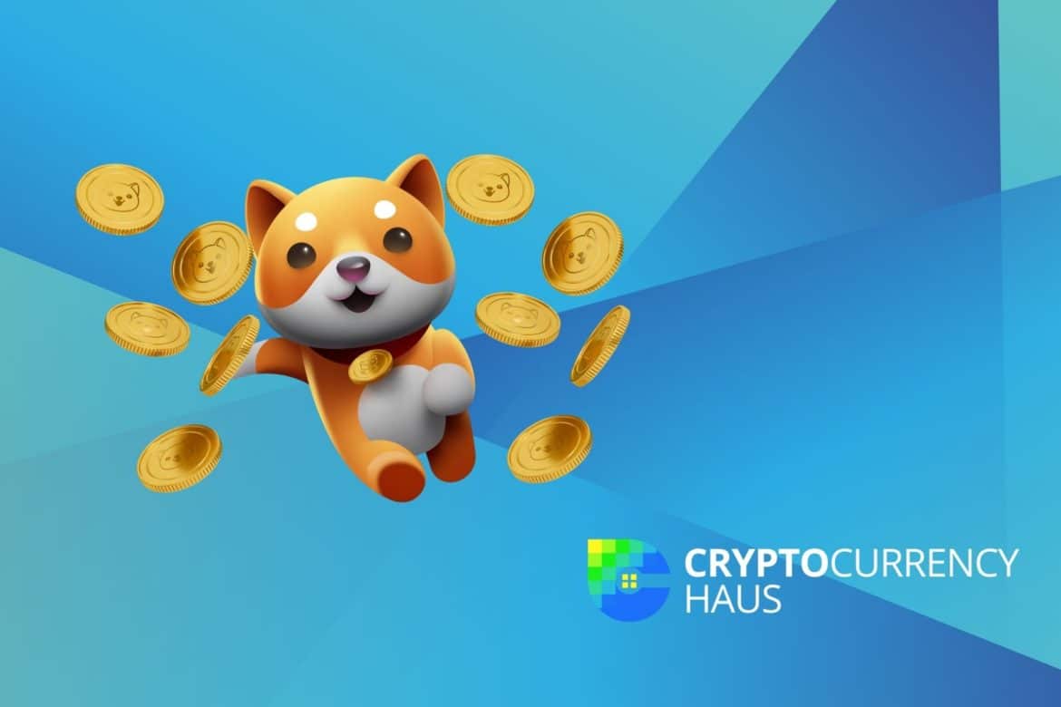 How To Buy Baby Doge Coin (BABYDOGE) | Cryptocurrency Haus