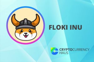 How to Buy Floki Inu