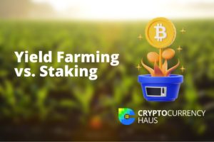 Yield farming vs staking