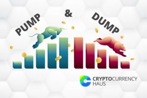Pump and Dump Crypto Groups